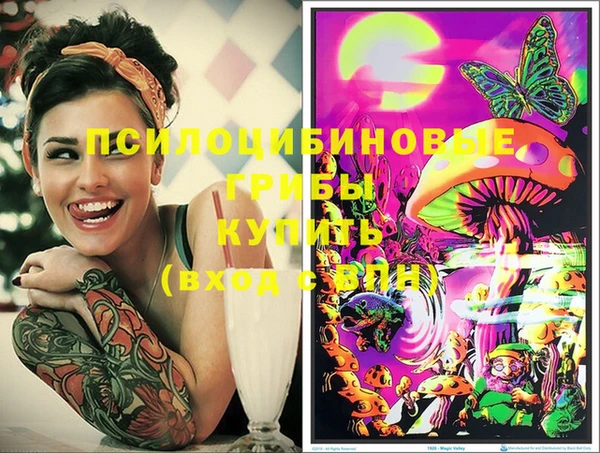 молекула духа Богданович