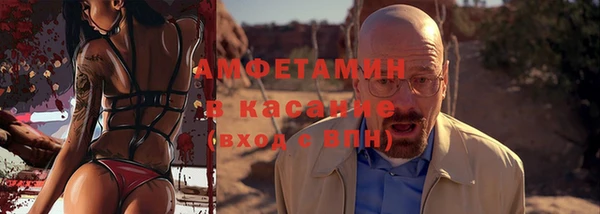 шишки Белоозёрский