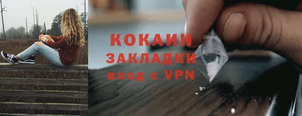 шишки Белоозёрский