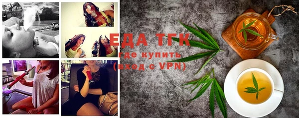 молекула духа Богданович