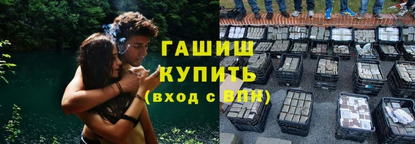 молекула духа Богданович
