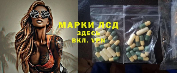 молекула духа Богданович