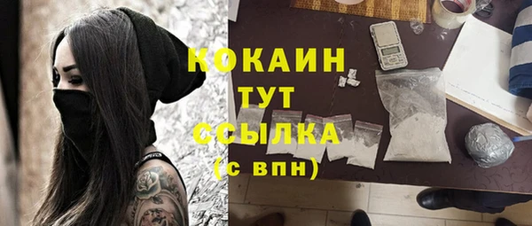 ALPHA PVP Гатчина