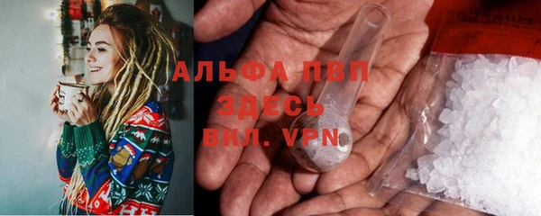 молекула духа Богданович